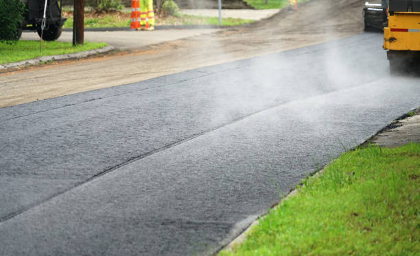 Best Residential Paver Driveway  in Twin Lakes, NM